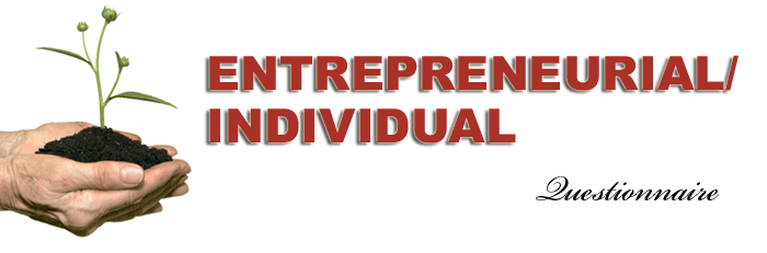 SBEX Entrepreneurial/Individual Questionnaire