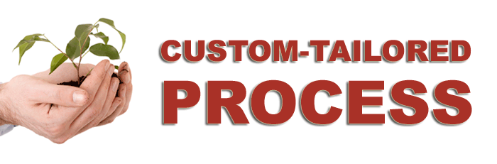 SBEX Custom-Tailored Process