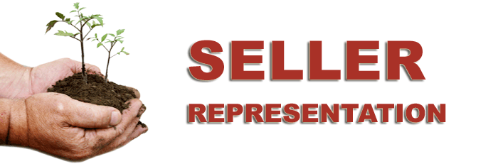 SBEX Seller Representation